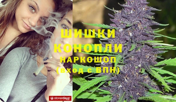 тгк Бронницы